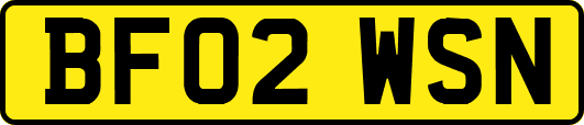 BF02WSN