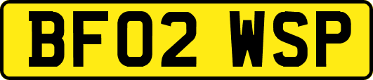 BF02WSP