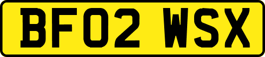 BF02WSX