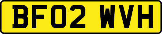 BF02WVH