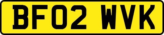 BF02WVK