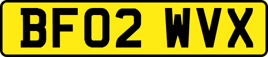 BF02WVX