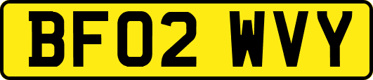 BF02WVY