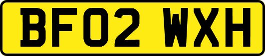 BF02WXH