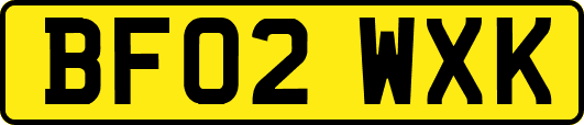 BF02WXK