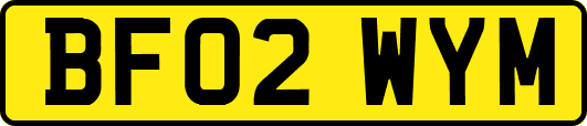 BF02WYM