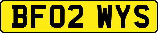 BF02WYS