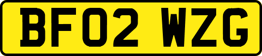 BF02WZG