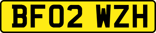BF02WZH