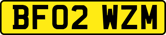 BF02WZM