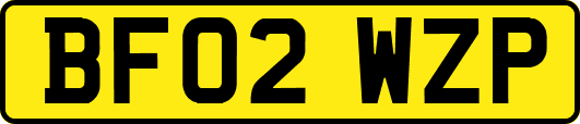BF02WZP