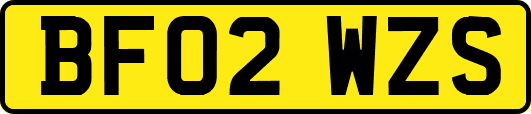 BF02WZS