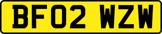 BF02WZW