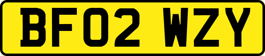 BF02WZY
