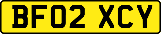 BF02XCY