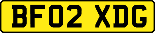 BF02XDG