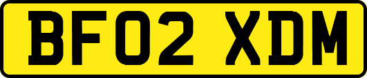 BF02XDM