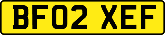 BF02XEF