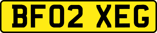 BF02XEG