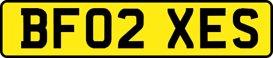 BF02XES