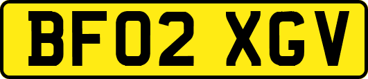 BF02XGV