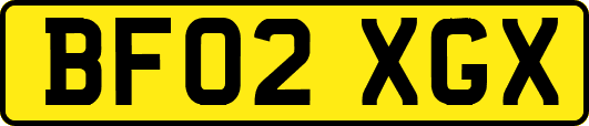 BF02XGX