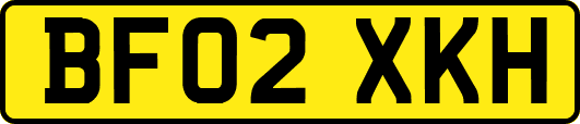 BF02XKH