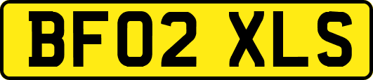 BF02XLS