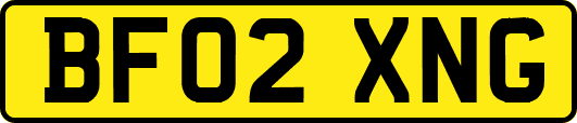 BF02XNG