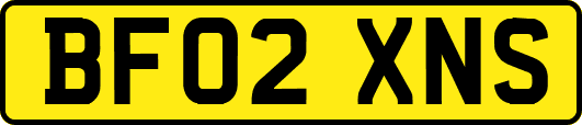 BF02XNS