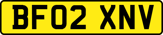 BF02XNV