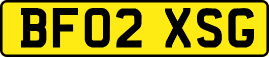 BF02XSG