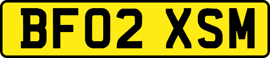 BF02XSM