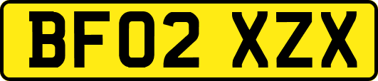 BF02XZX