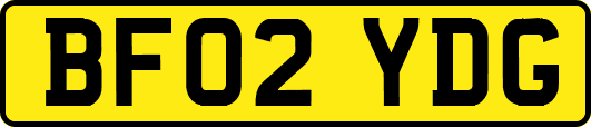 BF02YDG