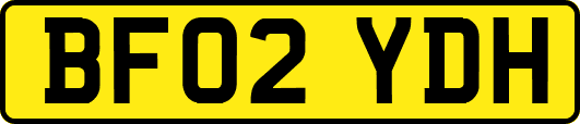 BF02YDH