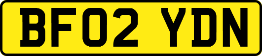BF02YDN