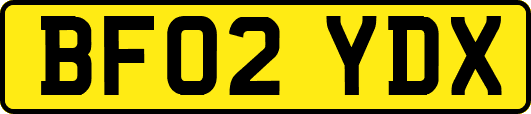 BF02YDX