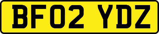 BF02YDZ