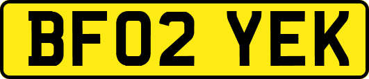 BF02YEK