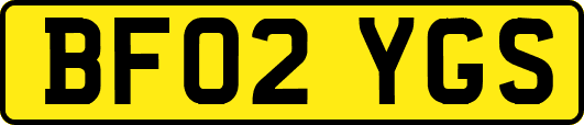 BF02YGS