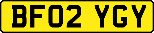 BF02YGY