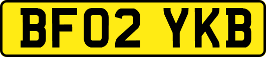 BF02YKB