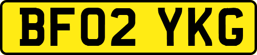 BF02YKG