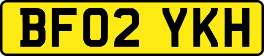 BF02YKH