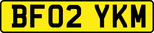BF02YKM