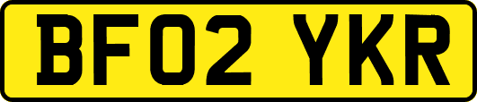 BF02YKR