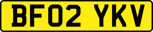 BF02YKV