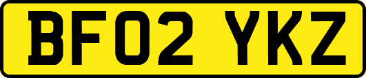 BF02YKZ