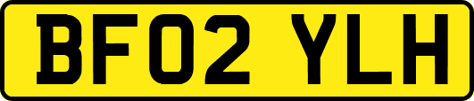 BF02YLH